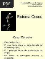 2-Anatomia Osteologia Sistema Osseo