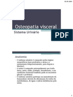 6. Osteopatia Visceral - Sistema Urinario