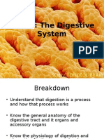 Ch. 16: The Digestive System