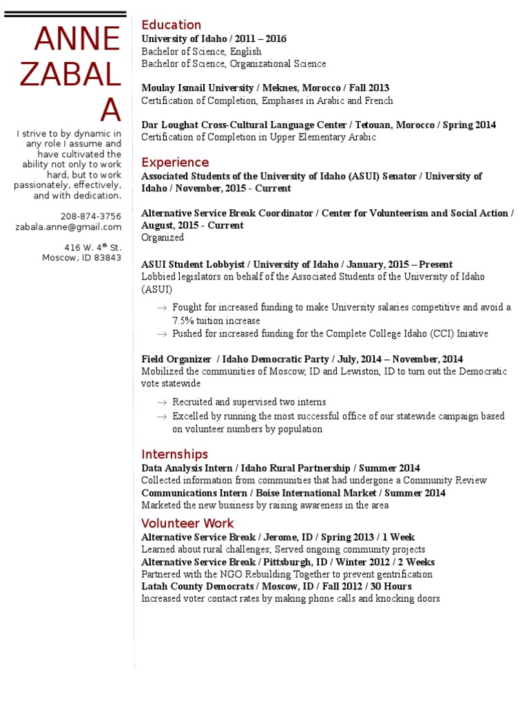 Anne Zabal: Dynamic Professional Profile | PDF | Social Science