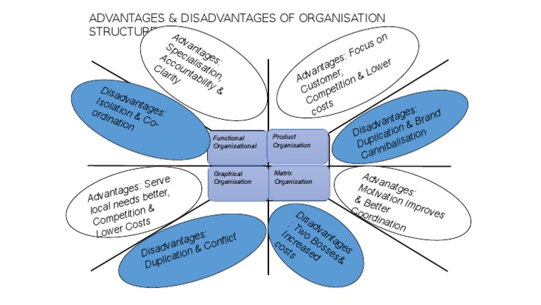 Pros and Cons of Organizational Structures | PDF