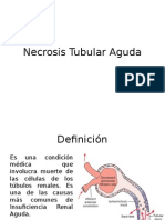 Necrosis Tubular Aguda