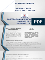 Niif Pymes Vs Plenas