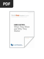 CAMELS Ratings Lori Buerger March 2012