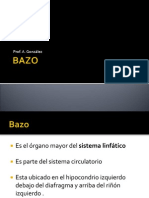 presentacion del bazo