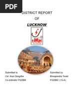 Download Lucknow District Study by bhoopendrat SN29270604 doc pdf