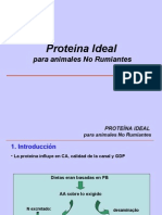 Proteína Ideal