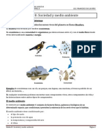 Sociedad y Medio Ambiente