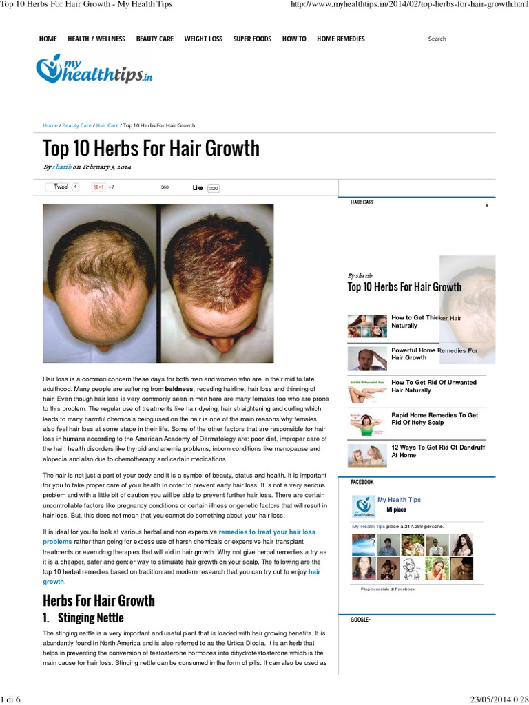 Top 10 Herbs For Hair Growth My Health Tips PDF Hair Loss Hair Care