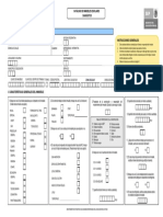 Formato Cie 2007 PDF