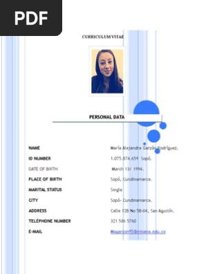 Curriculum vitae