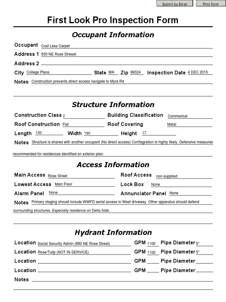 First Look Pro Inspection Form Guide | PDF | Home & Garden