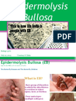 Epidermolysis Bullosa PPT - CZ