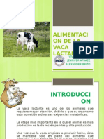 Alimentacion de La Vaca Lactante