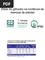 Palestra Tsuioshi Yamada