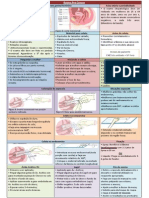 Técnica CP Revisada