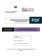 In-Satisfacción Laboral, Psicosociología Del Trabajo.