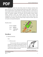 Download Cephalopoda  by Andrianto Panjaitan SN292732872 doc pdf