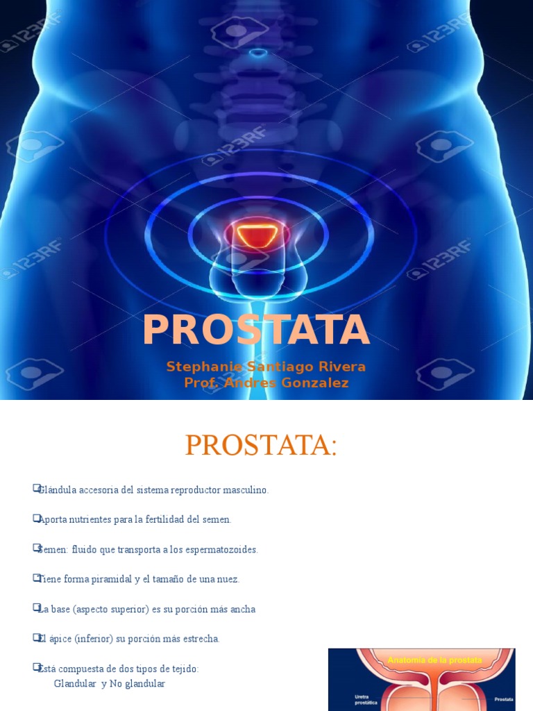Anatomía y Evaluación de la Próstata | PDF | Antígeno específico de la ...