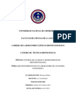 Informe 1