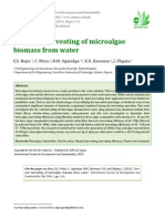 Low-Cost Harvesting of Microalgae Biomass From Water