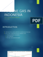 Pipeline Gas in Indonesia