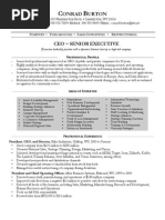 Sample CEO Resume