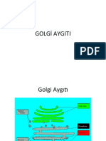 Golgi, Lizozom, Vakuol, Peroksizom