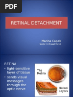 Common Retina and Vitrectomy CPT Codes | PDF | Medical Procedures ...
