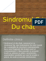 Cri Du Chat Syndrome