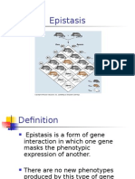 Bio Epistasis