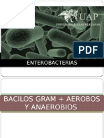 Bacilos Grampositivos y Negativos Enterobacterias
