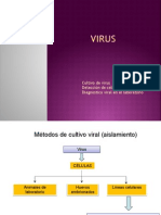 3.Virus Dxviral
