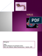 1.Virus Clasificación y Estructura