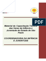 Material Capacitacao VIJ