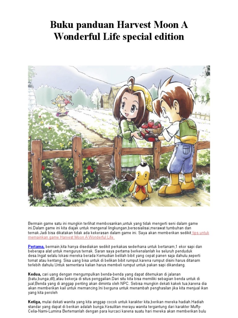 Download Harvest Moon A Wonderful Life Special Edition Bahasa Indonesia