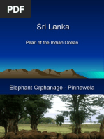 Download Beautiful Sri Lanka by HeavenlyPlanetEarth SN2928813 doc pdf