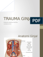 Trauma Ginjal