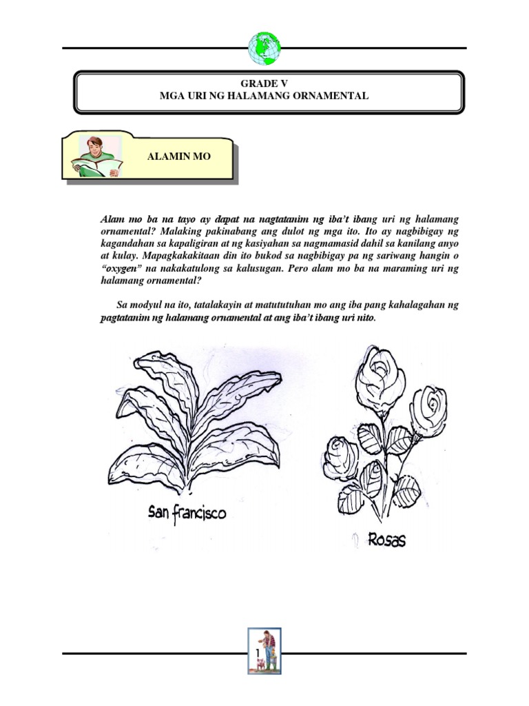 27.Mga Uri Ng Halamang Ornamental(2)