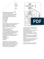 Ficha Biologia