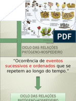 Ciclo Das Relacoes Patogeno Hospedeiro