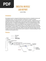 Skeletal Muscle Lab Report