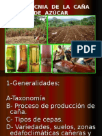 Agrotecnia de la Caña de Azúcar.ppt