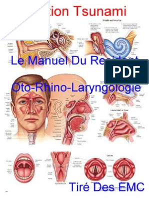 Le Manuel Du Resident - Oto-Rhino-Laryngologie