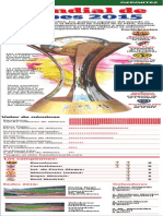 Infografía: Mundial de Clubes 2015