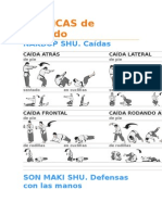 TÉCNICAS de Hapkido