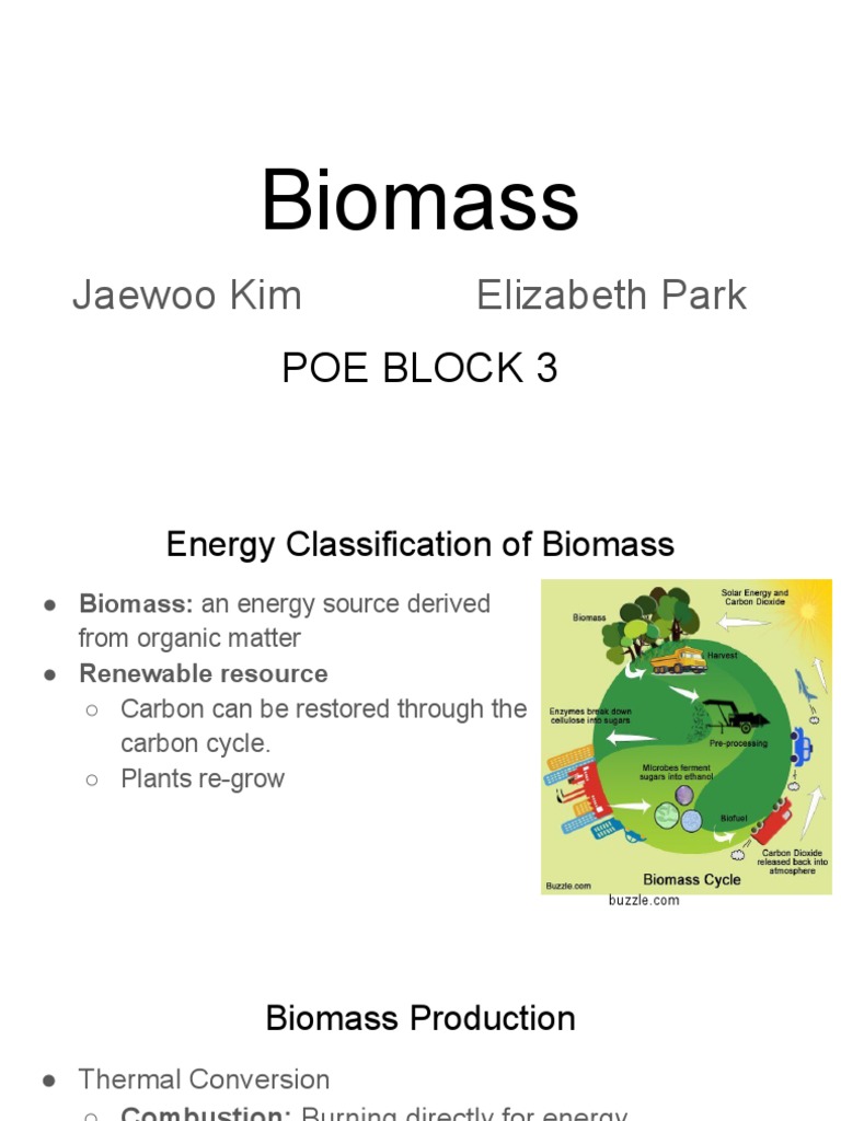1 2 1 Energy Source Presentation - Biomass | PDF | Biomass | Biofuel