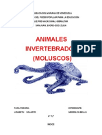 Trabajo: ANIMALES INVERTEBRADOS (MOLUSCOS)