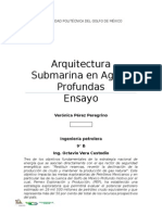 Arquitectura Submarina en Aguas Profundas