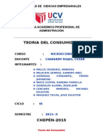 Informe..-Teoria Del Consumidor